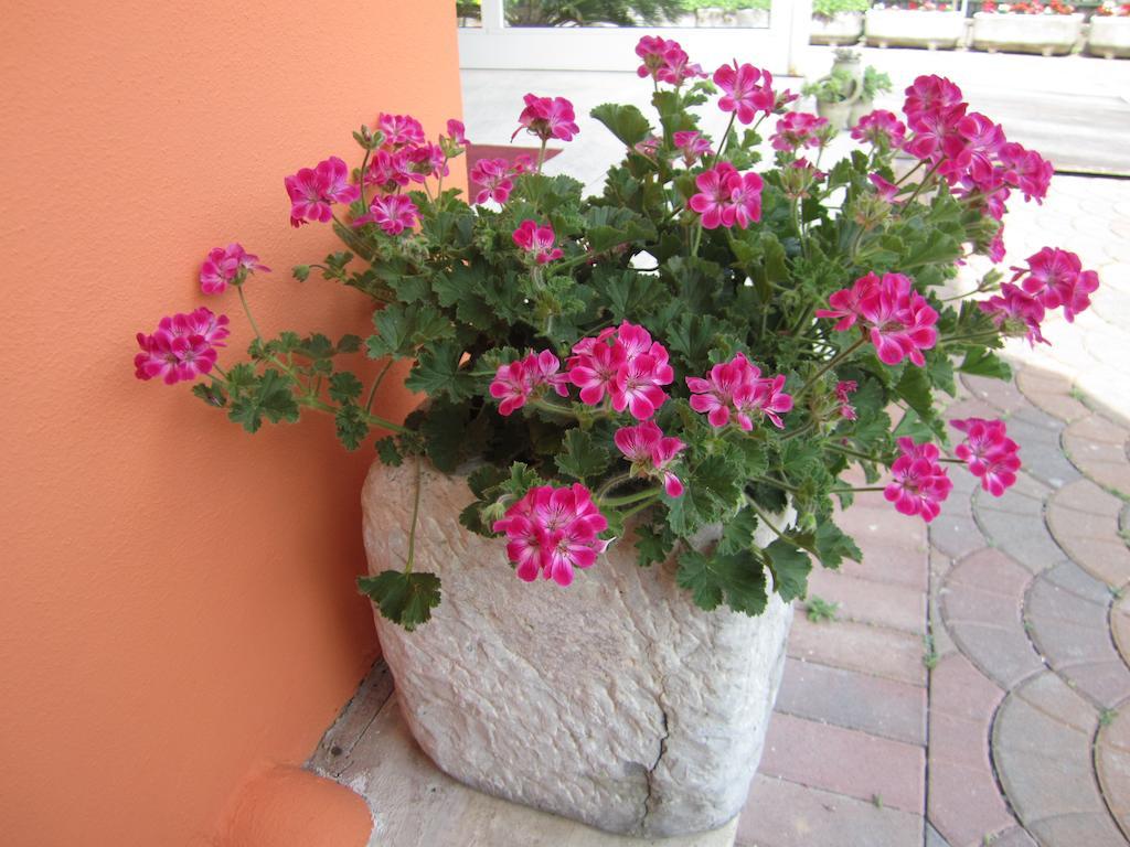 Albergo Villa Mimosa Torbole Sul Garda Extérieur photo
