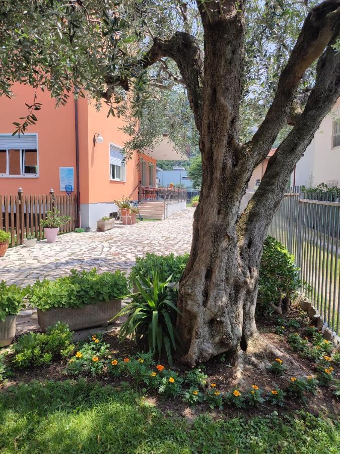 Albergo Villa Mimosa Torbole Sul Garda Extérieur photo